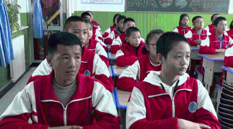 救援贪玩的大象