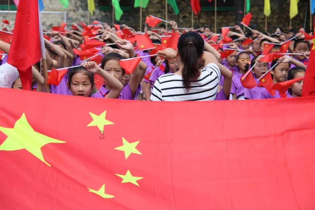 漂亮鹦鹉救援