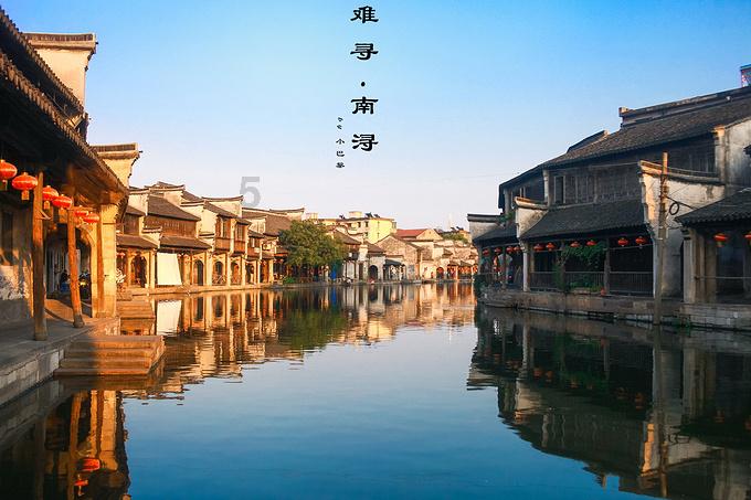 这是什么狗?-探索问题 答案不藏
